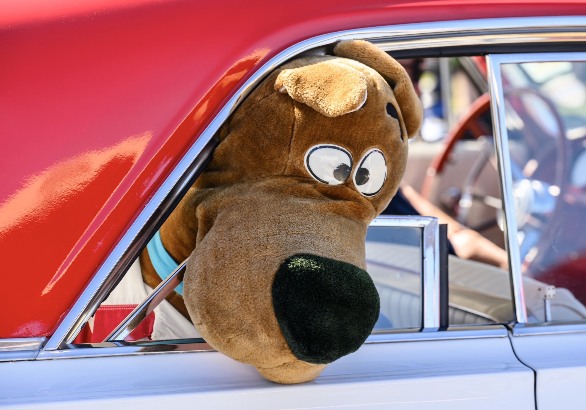 The Daytona Turkey Run®, up close